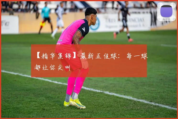 【精华集锦】最新五佳球:每一球都让你尖叫