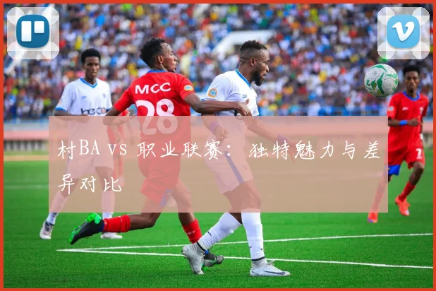 村BA vs 职业联赛:独特魅力与差异对比