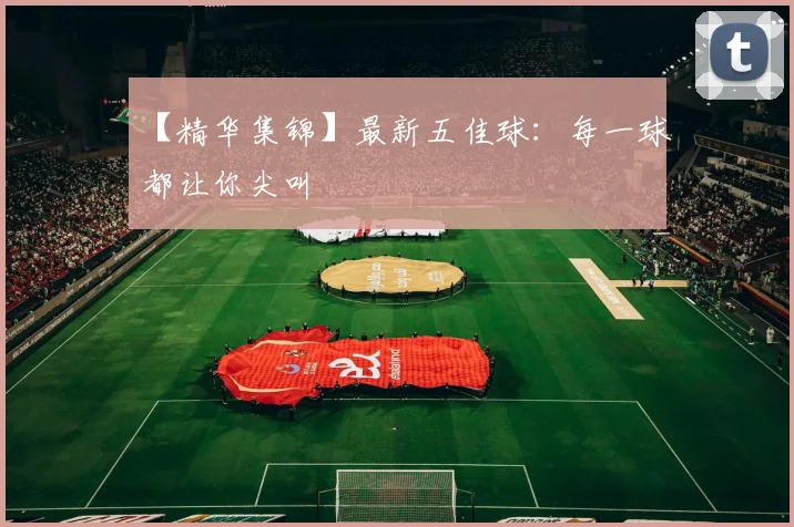 【精华集锦】最新五佳球:每一球都让你尖叫
