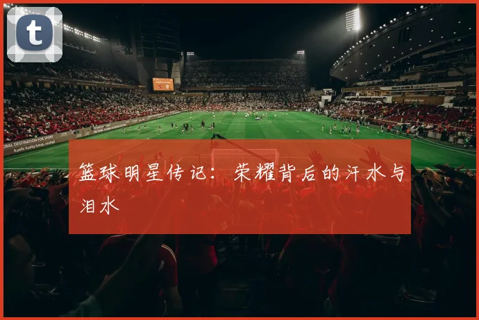篮球明星传记:荣耀背后的汗水与泪水